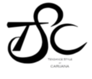 tendancestylec.fr
